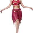 thumbnail image 2 of DYTTDG Mesh Sequin Coin Exotic Belly Dance Skirt with Asymmetric Tassels | Sparkling Performance Skirt for Stage, Dance & Party, 2 of 8