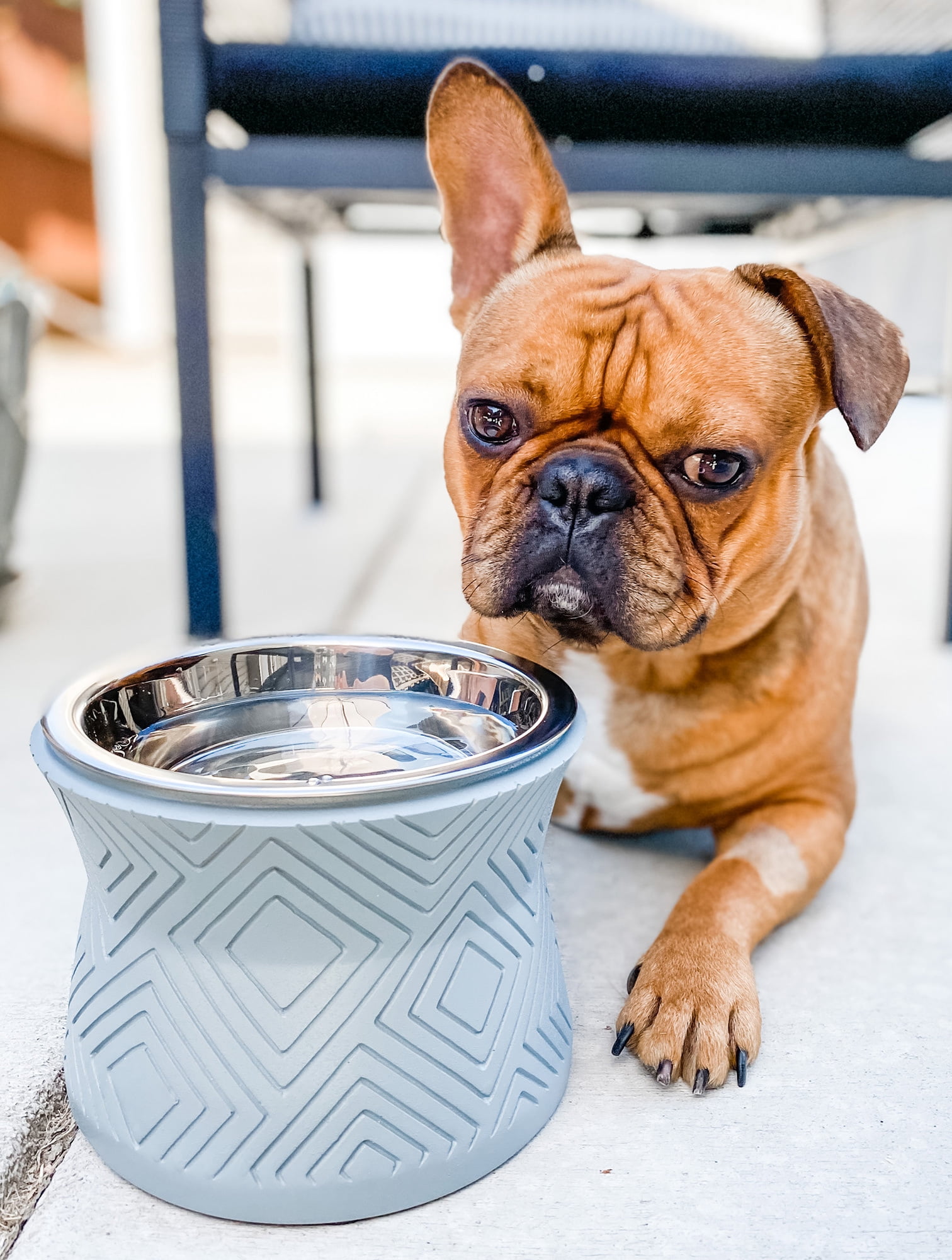 Pet Junkie Santa Fe Elevated Small Polyresin Pet Food & Water Bowl with Stainless Steel Dish, Icy Gray