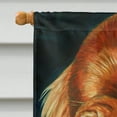 thumbnail image 3 of Carolines Treasures 7315CHF Irish Setter Serious Flag Canvas House Size, 3 of 4