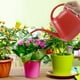 thumbnail image 4 of Regadera de 1 galón con pico largo, regadera con diseño de flores, regadera de interior con asa, regadera de plástico para plantas de jardín., 4 of 5