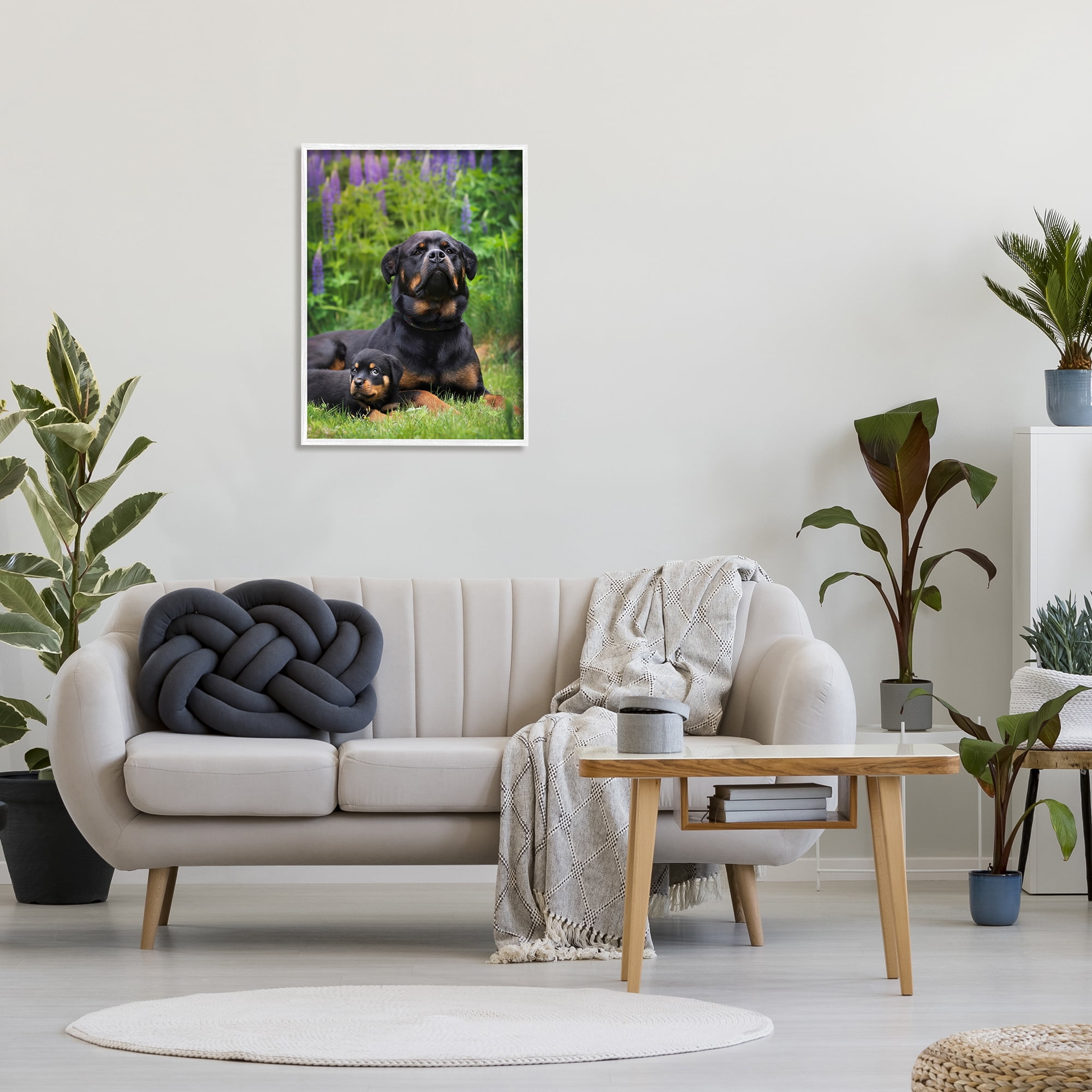 Stupell Industries Rott Puppies in Meadow Animals & Insects Photography White Framed Art Print Wall Art, 24 x 30