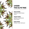 thumbnail image 2 of Recarga de fragancia MAISON BERGER Under The Olive Tree 1L, 2 of 8