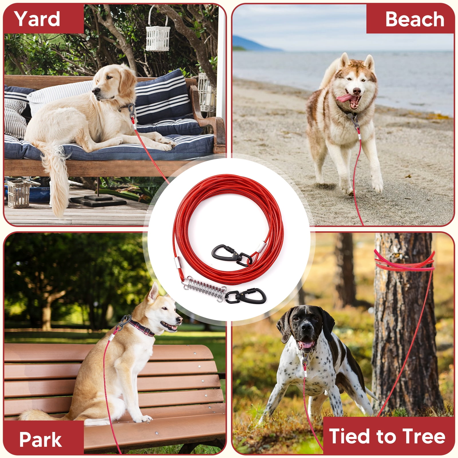 Dog Tether Dog Tree Tie Out Dog Run Tree Leash For Dogs Dog Runs For Outside