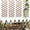 4 PACK, variant on Wooden Lattice Panels for Outside 1Pack, 75"x11.8" Expandable Wood Lattice Fence Wall Garden Trellis Frame for Climbing Plants Outdoor Vine Ivy Rose Patio Room Decorative