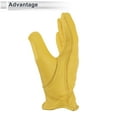 thumbnail image 3 of Amarillo L, 3 of 7