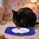 thumbnail image 3 of Comedero Lento Para Perros Almohadilla De Silicona Para Que Los Perros Laman Dispensador Para Cachorros Y Gatos Que Evita La Ansiedad Y El Desorden Seaflex Feast Mat – Comedero Lento Fomenta El, 3 of 5
