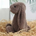 thumbnail image 4 of 9.8" Soft Stuffed Easter Bunny Plush Toy, Cute Floppy Eared Rabbit Pillow, Sweet Plushie for Easter Basket Stuffers & Spring Home Decor, Perfect Gift for All Ages (Toffee Brown), 4 of 8