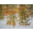 thumbnail image 2 of Gulin, Sylvia 18x15 White Modern Wood Framed Museum Art Print Titled - USA-Washington State-Fall City and fall colored trees in reflection Snoqualmie River, 2 of 4