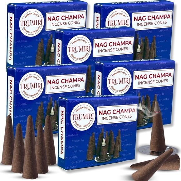 Encens Nag Champa - Lot de 60 Cônes (10 Cônes Chacun) - Encens Parfumé