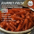 thumbnail image 5 of Morelli Pasta Fusilli Red Lentil Pasta - Gluten Free High Protein & Fiber - Imported from Italy 8.8oz / 250g, 5 of 8