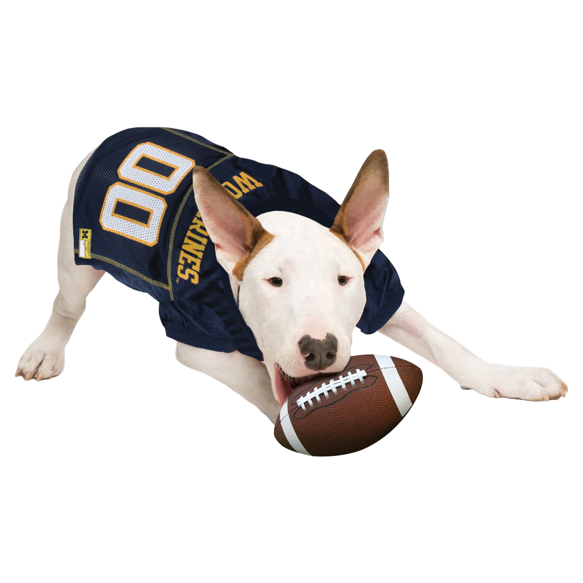 Michigan Wolverines Mesh Dog Football Jersey