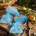 thumbnail image 4 of 100Pcs Fruit Protection Bags, Green Netting Cover Bags Drawstring Mesh Fruit Protectors Pest Barrier for Tomato Mango Trees Veggies Garden(L,Sky Blue), 4 of 6