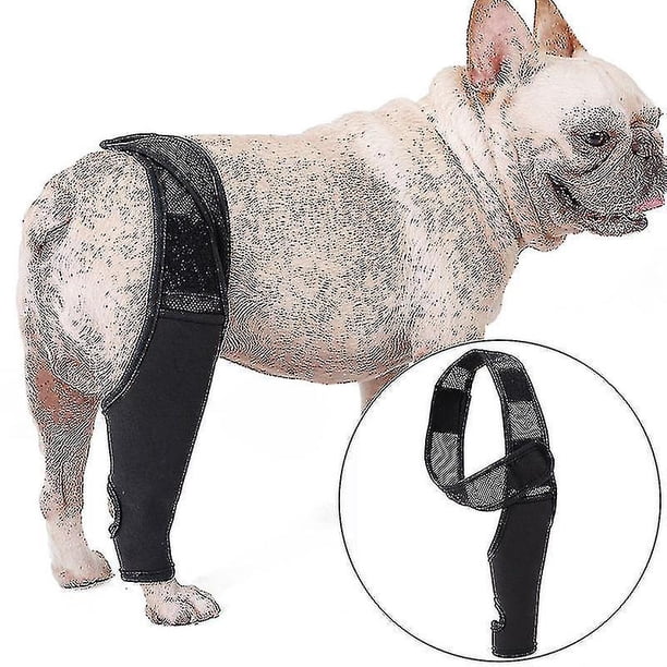 M Rodillera para perro mascota para artritis por dislocación de la rodilla mantiene la articulación caliente soporte adicional, s Botao