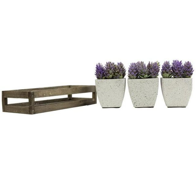 Admired by Nature ABN5P021-PRPL Succulentes d'Été en Plateau en Bois Violet - 3 Pièces
