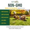 thumbnail image 5 of HyR BRIX 10-0-0 HyR Finish Fertilizer, 45lb Bag - Slow-Release Granular with Calcium & Sulfur - for Late Summer & Fall Lawn Prep - Covers 4,500 Square Feet, 5 of 6