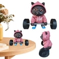 thumbnail image 1 of Cartoon Cat Statue Creative Figurine Fitness Escultura Gato Resina Levantamiento Pesas para Mujeres La Oficina Del Escritorio, 1 of 9