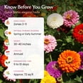 thumbnail image 5 of Created By Nature, Zinnia Dahlia Wildflower Seed Mix, Red, Pink, Orange, Yellow, Purple, and White Annual Flower Seeds, 2,125 Wildflower Seeds Bulk for Pollinator Gardens (Zinnia elegans), 5 of 6