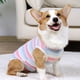 thumbnail image 5 of Traje de recuperación para perros para heridas abdominales oenfermedades de la piel, transpirable para perros, alternativa al collar electrónico después de la cirugía, antilamer heridas. (Pink L) PenghuiLiu 9024719113173, 5 of 5