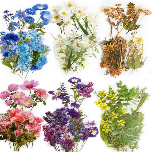 240Pcs Flower Stickers - 6 Floral Designs, Self-Adhesive Scrapbook Stickers for Journaling, Card Making, Planners, DIY Crafts, Water Bottle, Cell Phone, Adult Card Making Letters DIY(240)