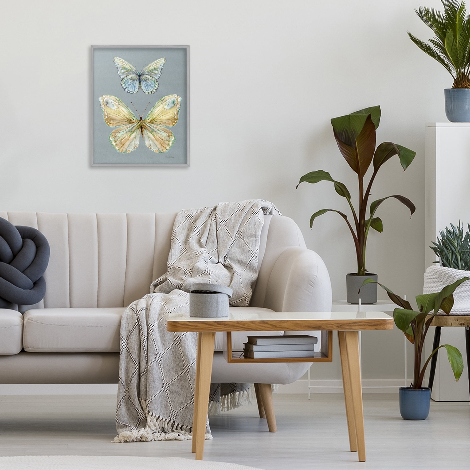 Stupell Industries Delicate Butterflies on Slate Gray Framed Giclee Art, design by Carol Robinson