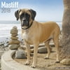 Mastiff Calendar 2018 - Dog Breed Calendar - Wall Calendar 2017-2018