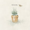thumbnail image 2 of Blum, Cheri 15x15 White Modern Wood Framed Museum Art Print Titled - Garden Flowers, 2 of 4