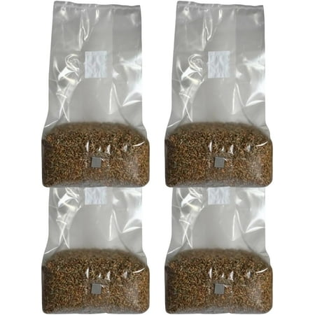 5lb Organic Sterile Mushroom Grain Spawn | Injector Port Grow Bags, Hydrated, Ready to Inoculate (Pack of 4) | Made in USA