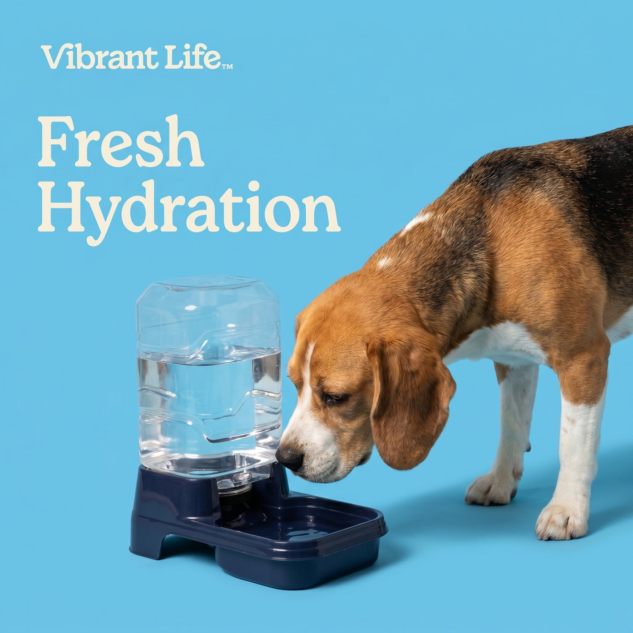 Vibrant Life Gravity Waterer for Medium Pets, 1.2 gal, Navy