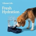 thumbnail image 4 of Vibrant Life Gravity Waterer for Medium Pets, 1.2 gal, Navy, 4 of 10