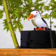 thumbnail image 3 of Bird Toothpick Dispenser Creative Push-type Toothpicks Holder Box Black-Base бι R6J0, 3 of 9