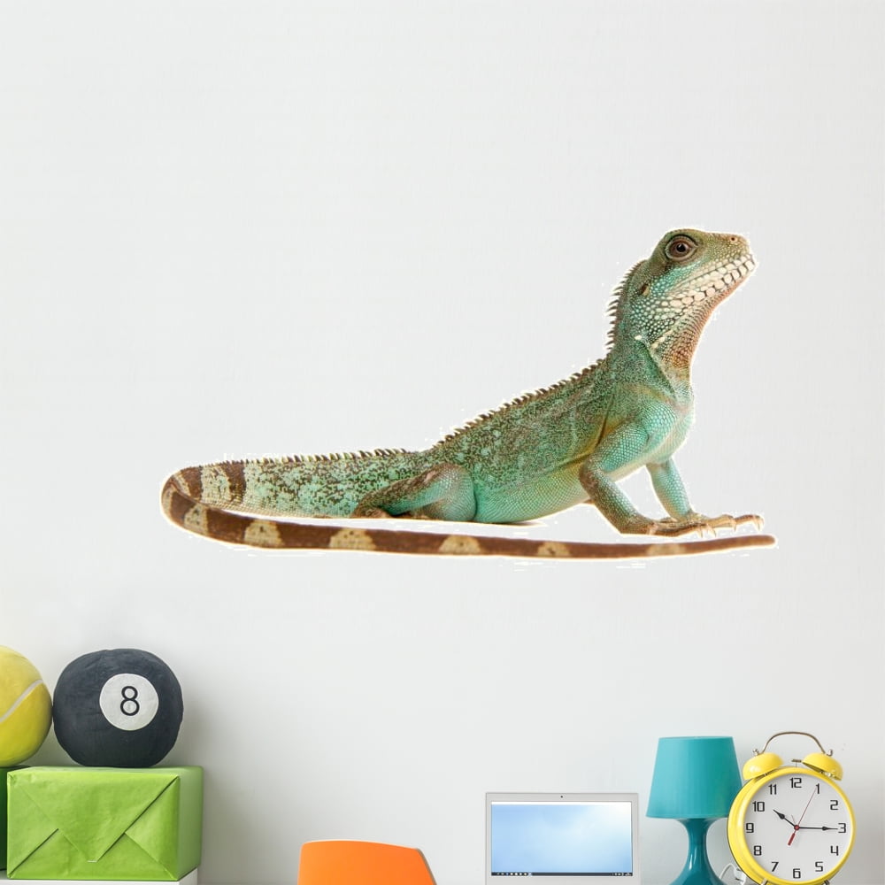 reptile wall decals