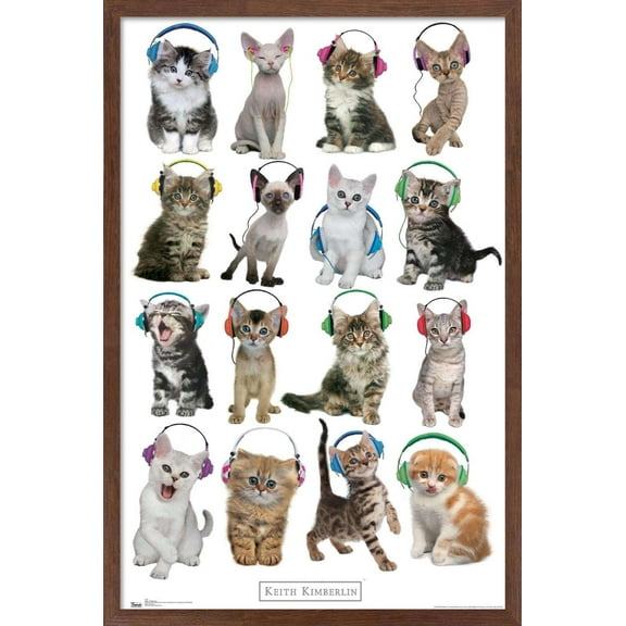 Keith Kimberlin - Kittens - Headphones Wall Poster, 14.725" x 22.375", Framed
