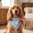 thumbnail image 5 of Pet Tuxedo Bandana with Bow Tie, Adjustable Elegant Formal Neckwear Collar Accessory for Dogs Cats, Perfect for Wedding Party All Breeds Light Blue XS, 5 of 9