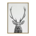thumbnail image 2 of Kate and Laurel Sylvie The Red Deer BW Framed Canvas Wall Art by Simon Te of Tai Prints, 23x33 Natural, Black and White Forest Deer Portrait Art, 2 of 6