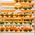 thumbnail image 3 of Tignapoo Full Spectrum LED Plant Grow Light with 450 Beads (60 Red + 342 Warm White + 48 Cool White) | 24H Smart Timer (3H/6H/12H) | 6-Level Brightness | Easy Install with Nylon Ties & Foam Tape |, 3 of 6