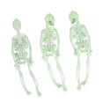 thumbnail image 3 of 8pcs Halloween Skeleton For Halloween Decorations, 3 of 3