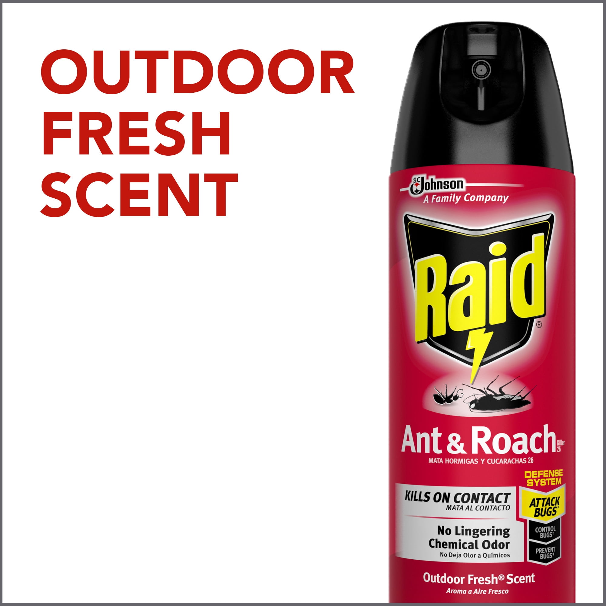 Raid Ant and Roach Killer Outdoor Fresh, 17.5 OZ (Pack - 6)