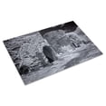 thumbnail image 3 of Print: Mcmillan Reservoir, Washington, D.C., 2010, 3 of 4