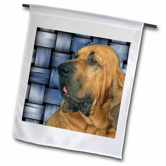 3dRose, Bloodhound, 18 x 27 inch Garden Flag