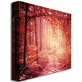 thumbnail image 3 of Trademark Fine Art Beata Czyzowska Young Enchanted Forest Canvas Wall Art - 24x24, 3 of 3