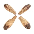 thumbnail image 1 of Home Decorative Dried Nut, 5 Bag  Chew Nuts Bite Resistant  for Birds, 1 of 7