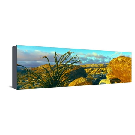 Sunrise Alpenglow Near Bow Willow Campground, Anza Borrego Desert State Park, California, USA Stretched Canvas Print Wall Art By Panoramic (Best Campgrounds Near Pictured Rocks)