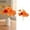 O, variant on Fake Flowers,Harliver Fall Flowers Artificial Sunflower Roses Pumpkins For Autumn Decor Fall Arrangements Stems For Home Fall Wedding Bouquet Table Centerpieces Thanksgiving