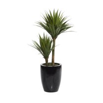 DecMode 31" Artificial Dracaena Plant in Realistic Leaves and Black Fiberglass Pot