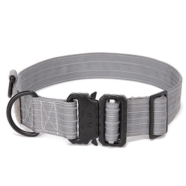 Bungee Wide Dog Collar with Handle – Dogs and Extra Soft Dog Collars for Medium Dogs