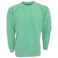 thumbnail image 1 of Comfort Colours - Sudadera de cuello redondo unisex para adultos (Menta), 1 of 1