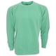 thumbnail image 1 of Comfort Colours - Sudadera de cuello redondo unisex para adultos (Menta), 1 of 1