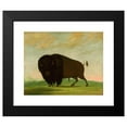 thumbnail image 2 of George Catlin 17x15 Black Modern Framed Museum Art Print Titled - Buffalo Bull, Grazing on the Prairie (1832-1833), 2 of 5