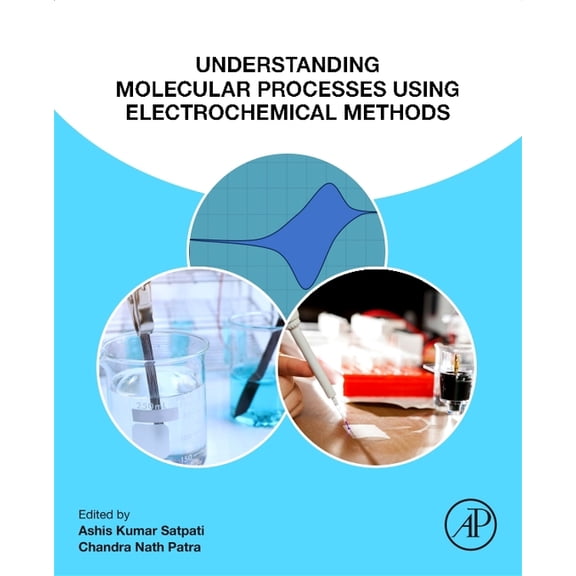 Understanding Molecular Processes Using Electrochemical Methods, (Paperback)