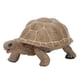 thumbnail image 1 of Modelo Animal vívido simulación elefante tortuga juguete educación temprana juguete sólido para niños, 1 of 10